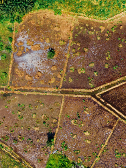 2.875m2 - Tarla ÇANAKKALE/ÇAN