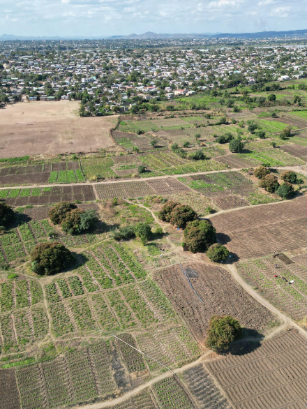 1.028m2 - Tarla BALIKESİR/SAVAŞTEPE