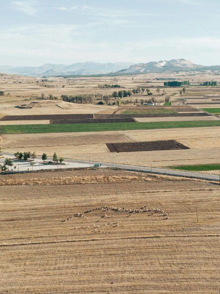 3.061m2 - Tarla  ÇANAKKALE/ECEABAT