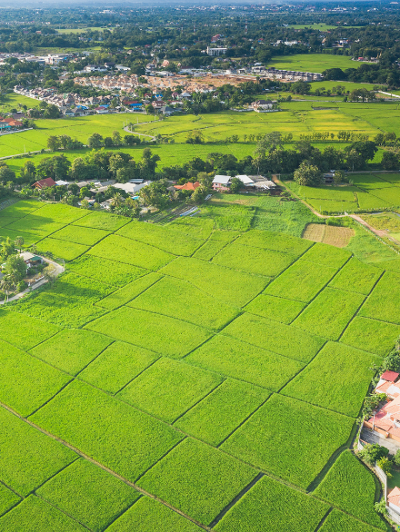 3.000m2 - Tarla ÇANAKKALE/YENİCE