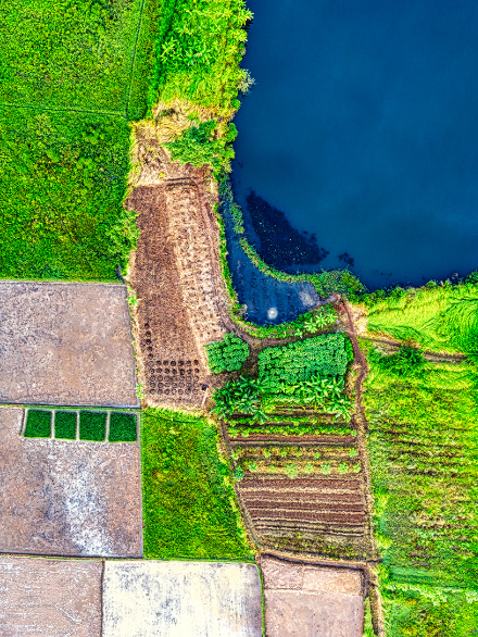 3.635m2 - Tarla ÇANAKKALE/LAPSEKİ